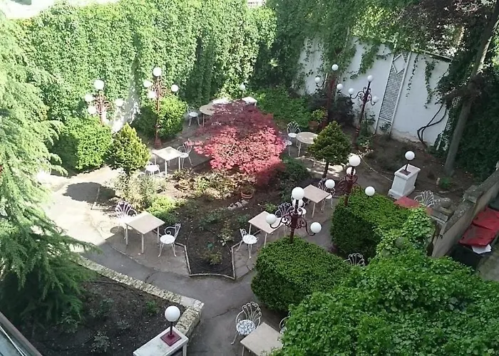 Viki Hotel 3*